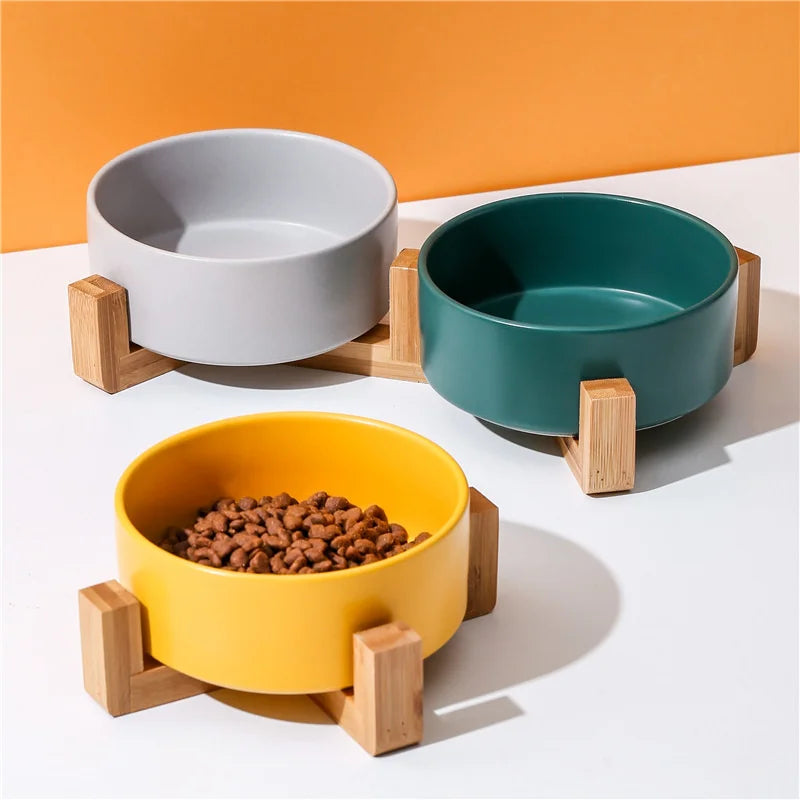 Ceramic Dog Bowl