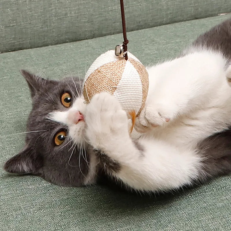 Teaser Cat Wand