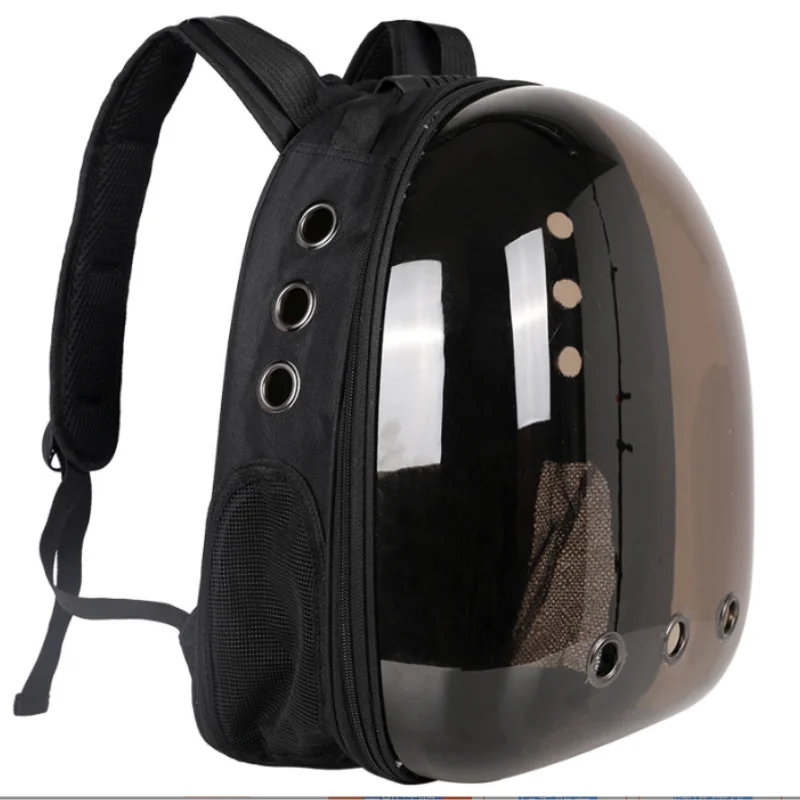 Transparent Cat Backpack
