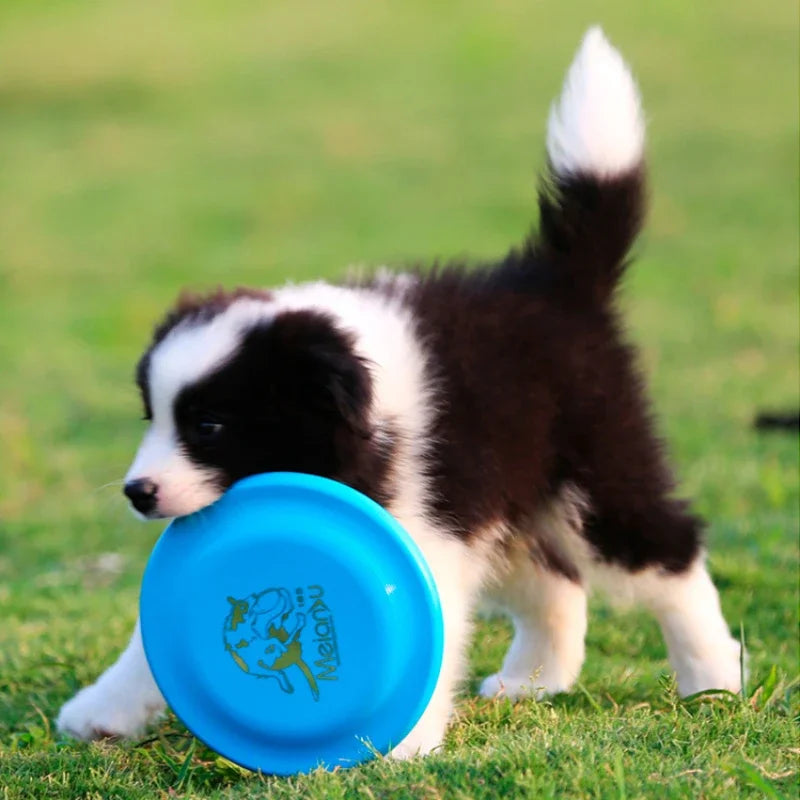 Flying Discs