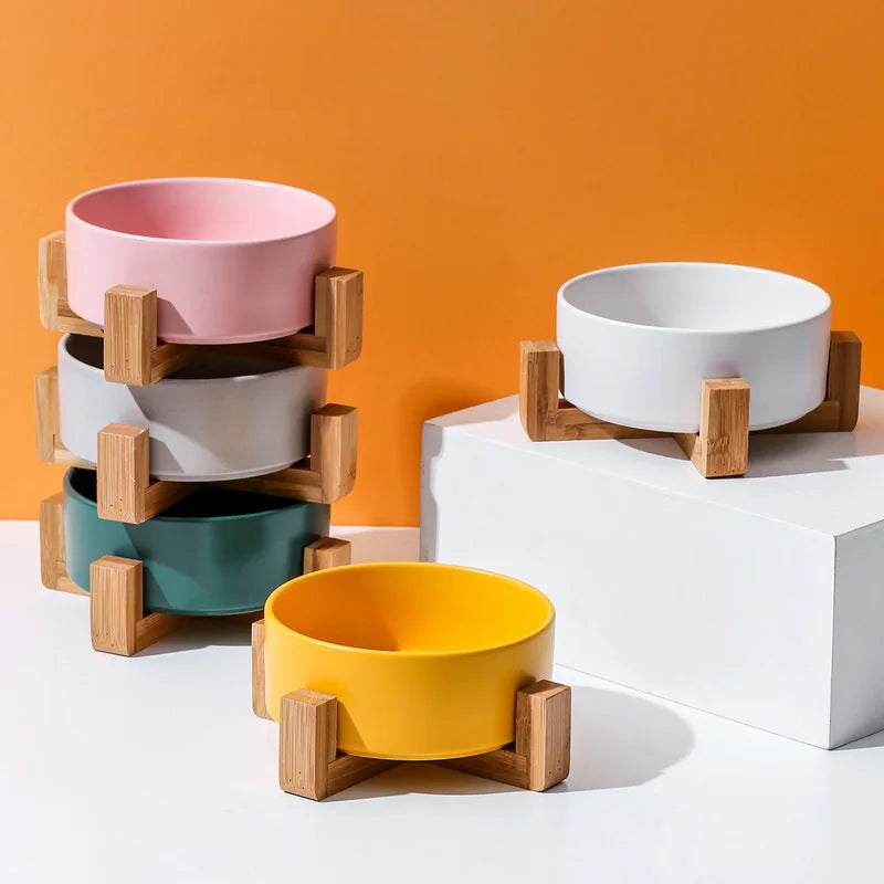 Ceramic Dog Bowl