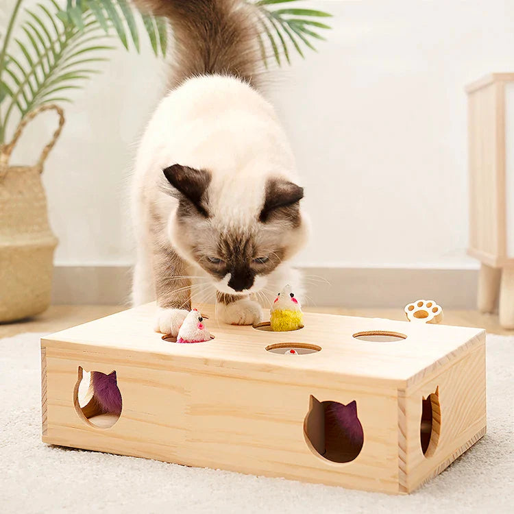 Cat Toys