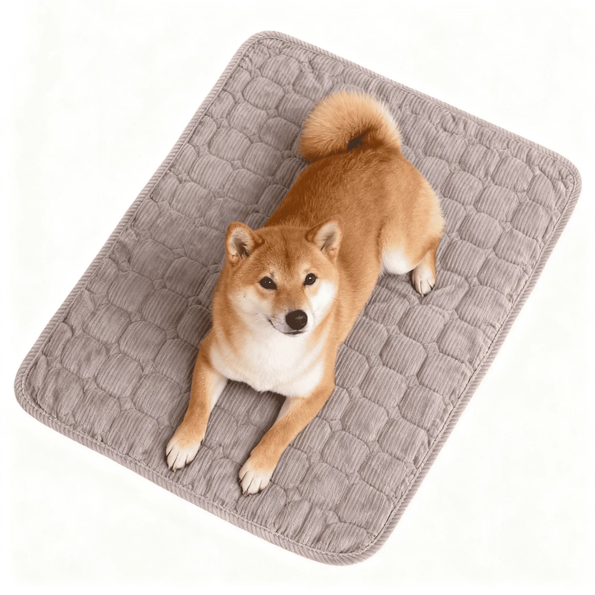 Large Dog Crate Bed Dog Crate Pad Washable Dog Bed Mat for Crate Mats for Dog Cage Mat Dog Kennel Pad Dog Kennel Mat Dog Crate Liner Dog Beds for Large Dog,48" X 36"