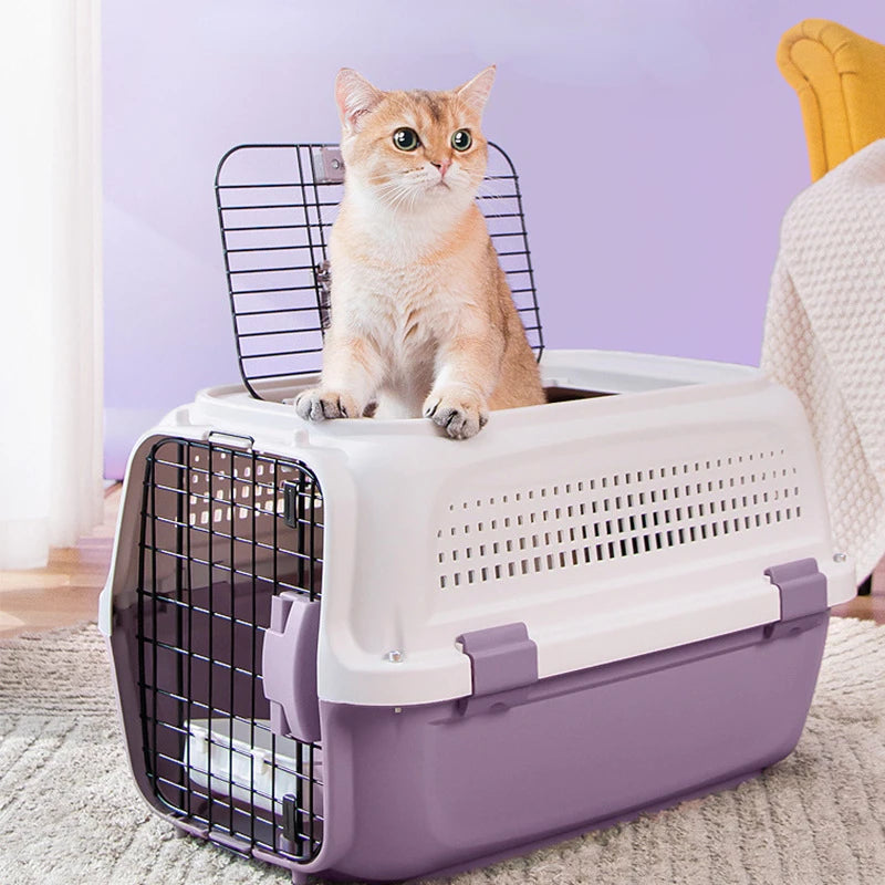 Pet Transport Box