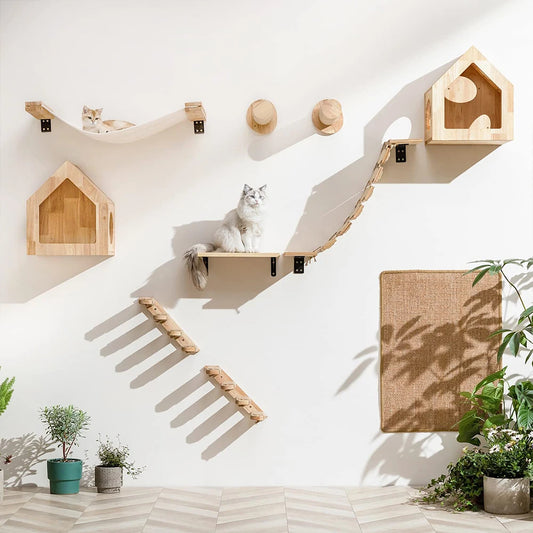 Climbing Wall