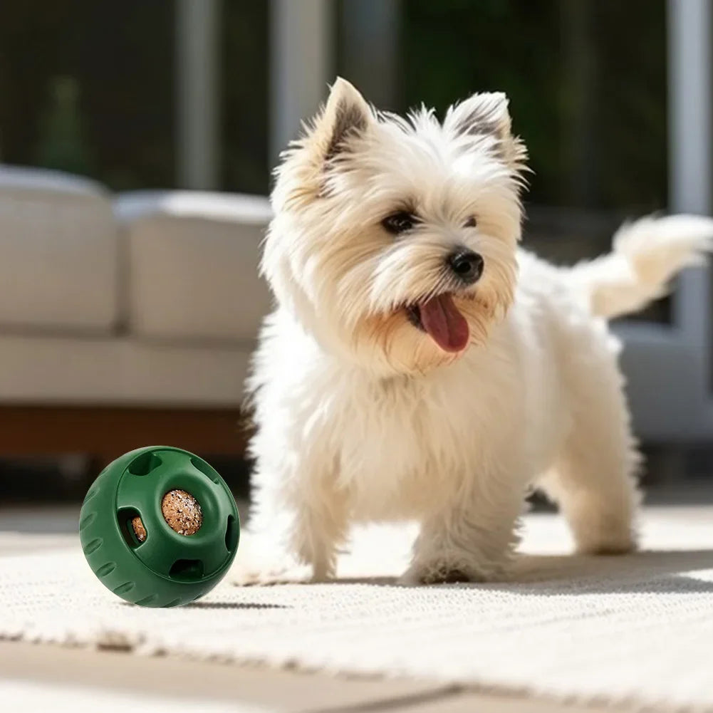 Treat Ball