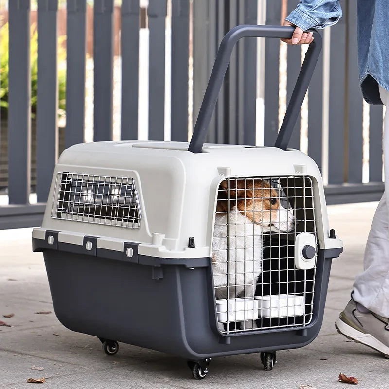 Pet Travel Trolly