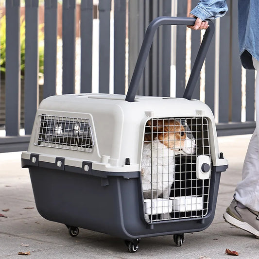 Pet Travel Trolly