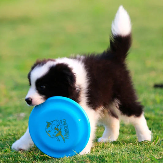 Flying Discs