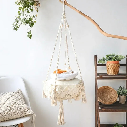 Cat Hanging Swing