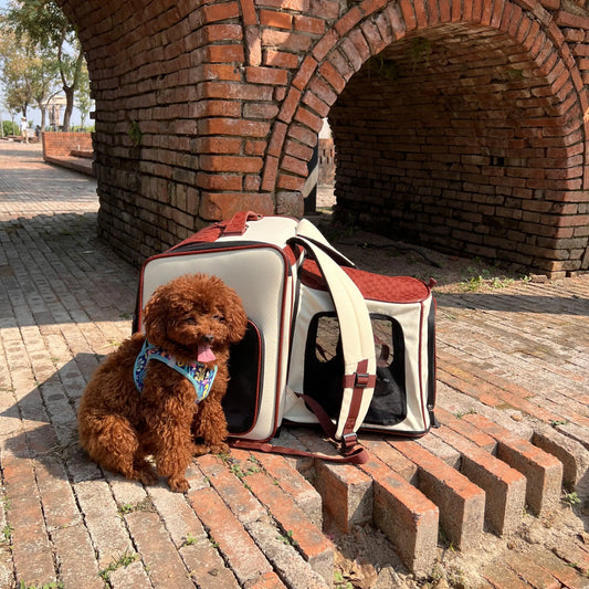 Expandable Pet Backpack